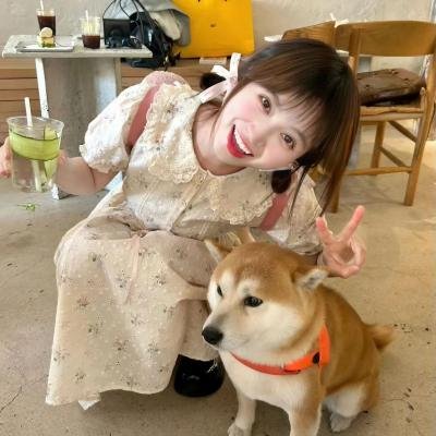 我的曲送给你